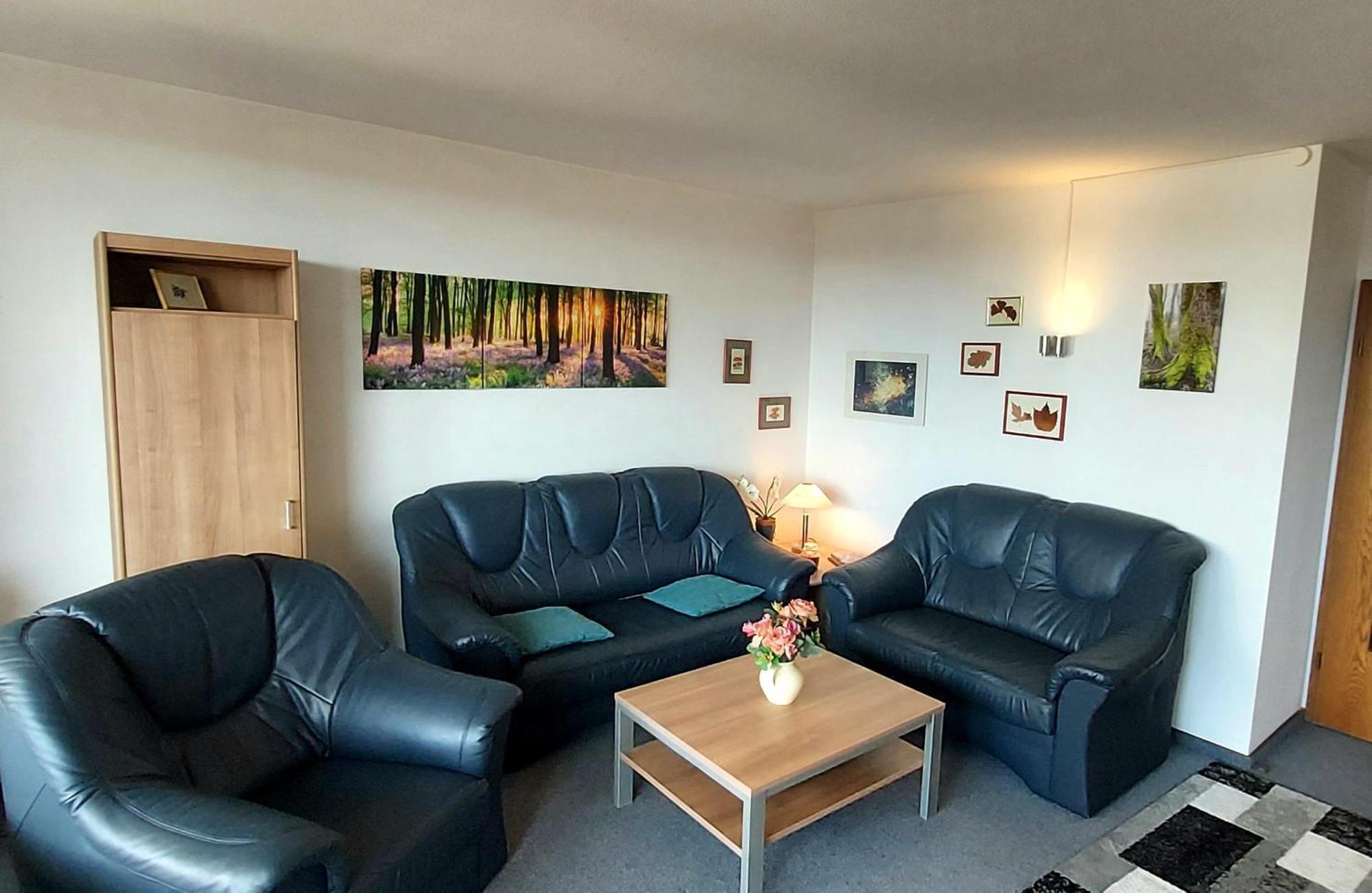 Panoramic Apartments Hohegeiß Pokoj fotografie