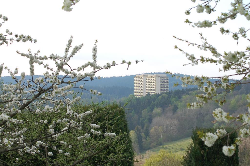 Panoramic Apartments Hohegeiß Exteriér fotografie