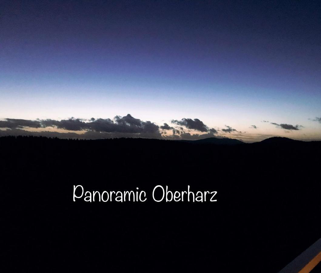 Panoramic Apartments Hohegeiß Exteriér fotografie